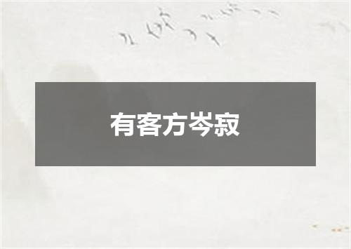 有客方岑寂