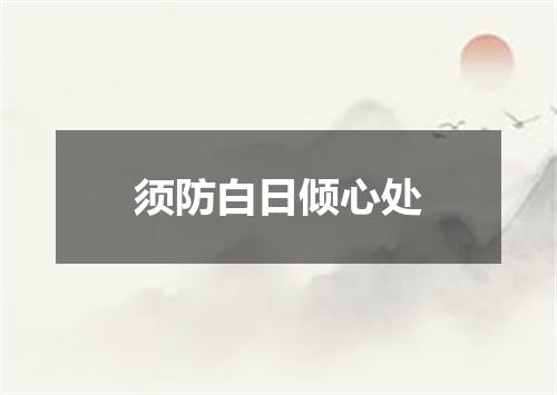 须防白日倾心处