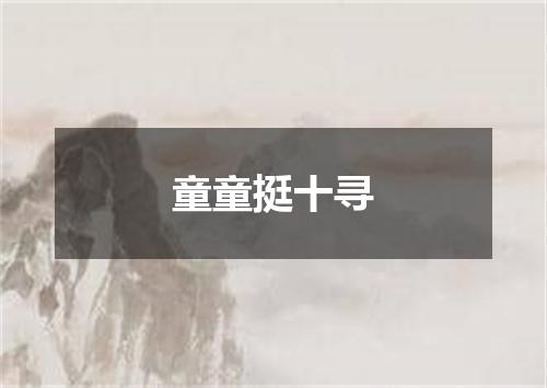 童童挺十寻