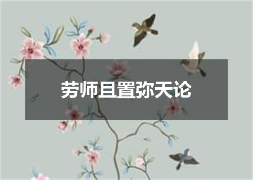 劳师且置弥天论