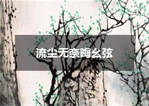 流尘无奈晦幺弦