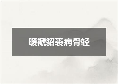 暖褫貂裘病骨轻