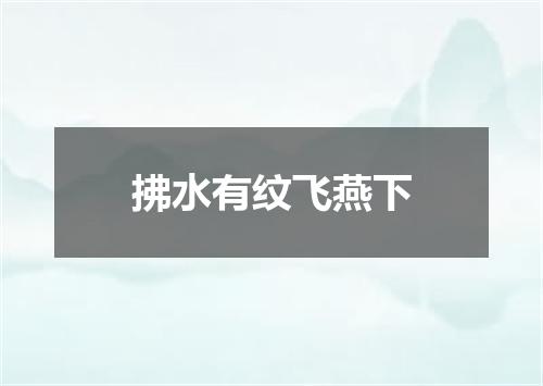 拂水有纹飞燕下