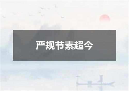 严规节素超今