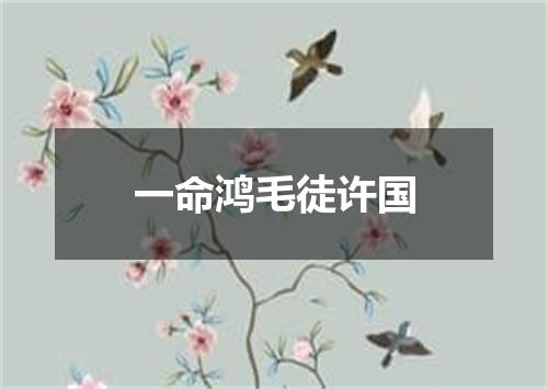 一命鸿毛徒许国