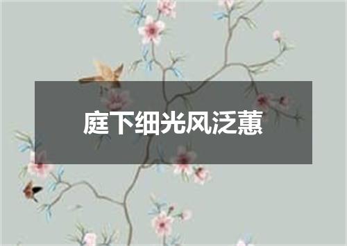 庭下细光风泛蕙