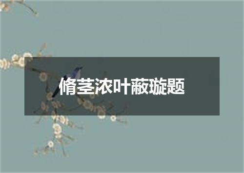 脩茎浓叶蔽璇题