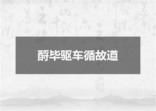 酹毕驱车循故道