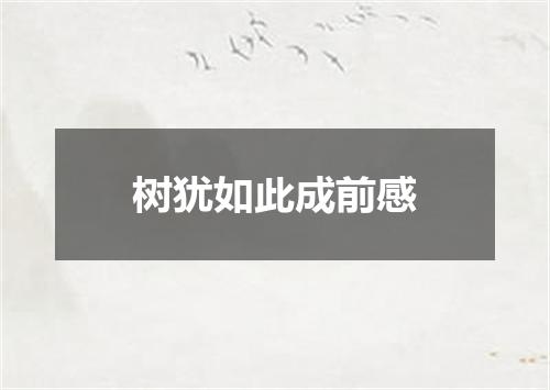树犹如此成前感