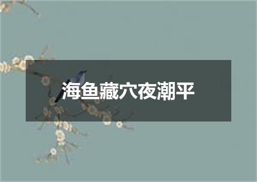 海鱼藏穴夜潮平