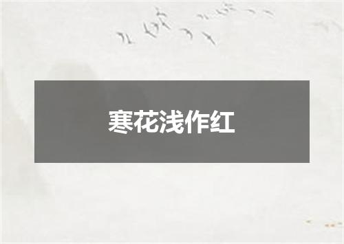 寒花浅作红