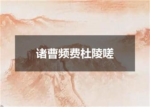 诸曹频费杜陵嗟