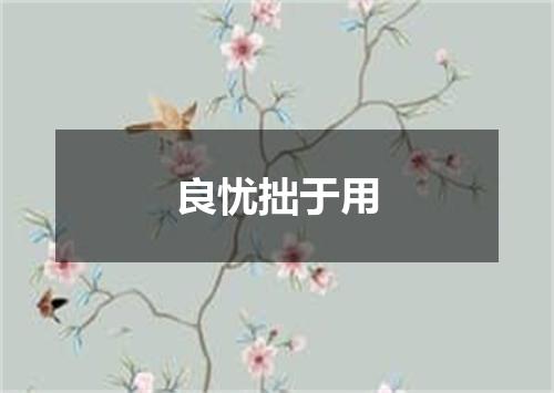 良忧拙于用