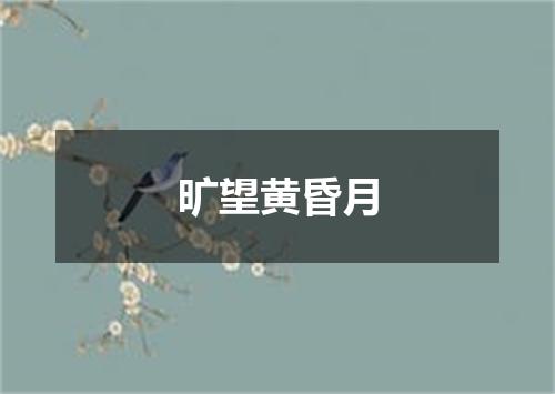 旷望黄昏月