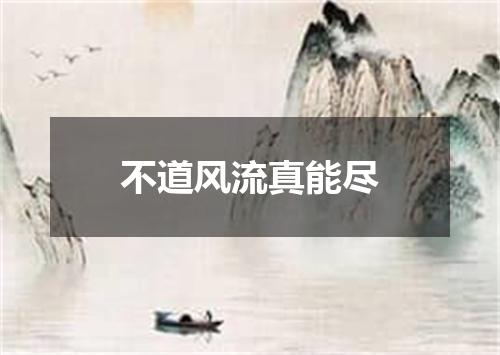不道风流真能尽