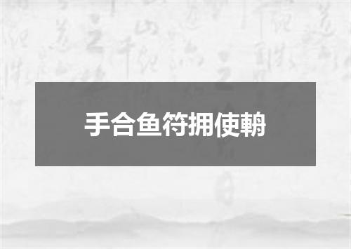 手合鱼符拥使輈