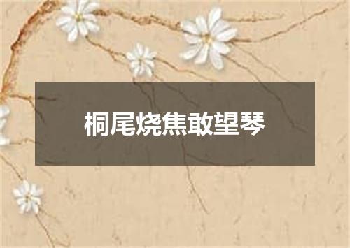 桐尾烧焦敢望琴