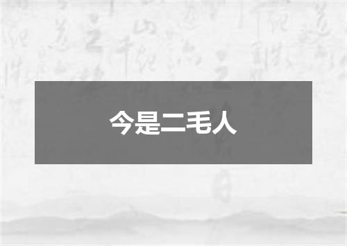 今是二毛人