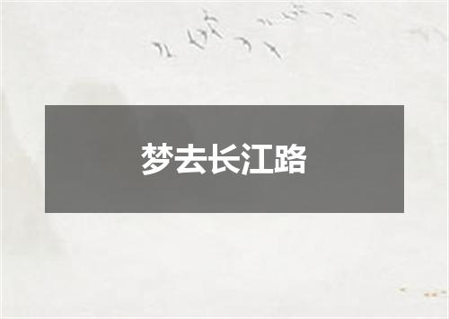 梦去长江路