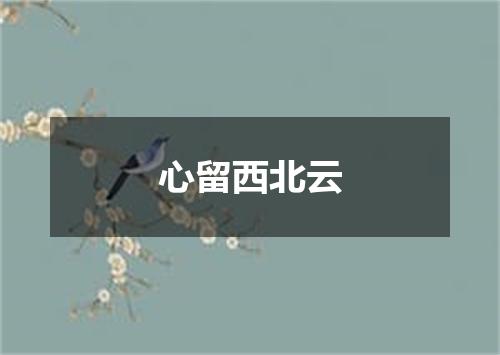 心留西北云