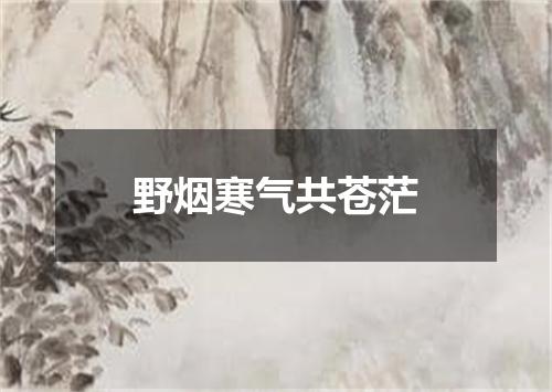 野烟寒气共苍茫