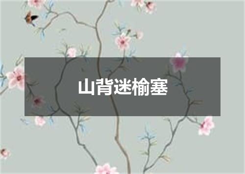 山背迷榆塞