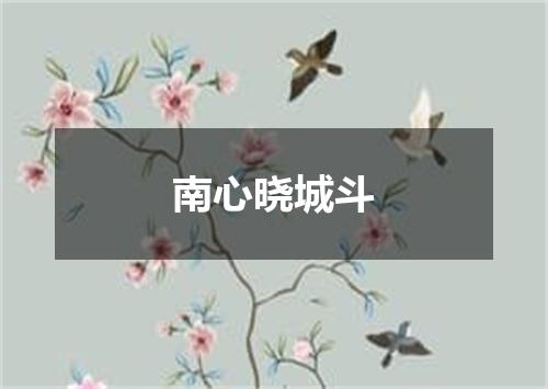 南心晓城斗