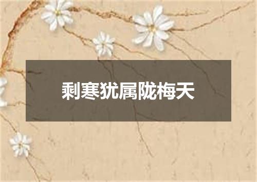 剩寒犹属陇梅天