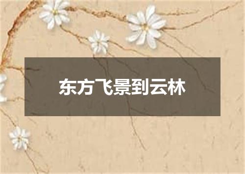 东方飞景到云林