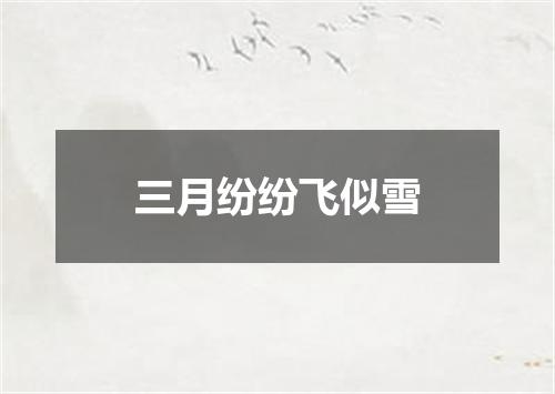 三月纷纷飞似雪