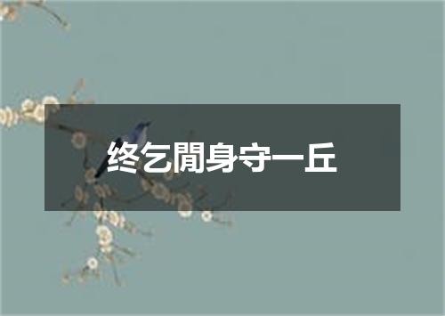 终乞閒身守一丘