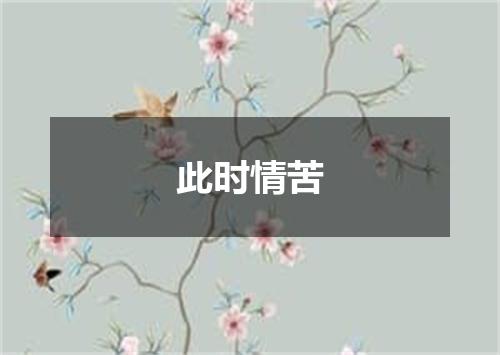 此时情苦