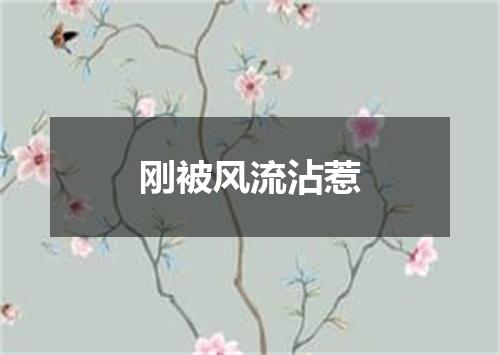 刚被风流沾惹