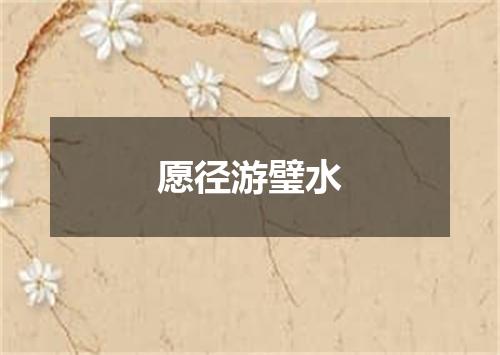 愿径游璧水