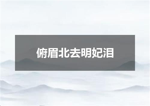 俯眉北去明妃泪