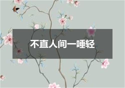 不直人间一唾轻