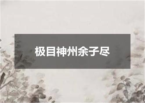极目神州余子尽
