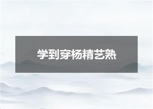 学到穿杨精艺熟