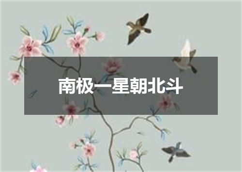 南极一星朝北斗