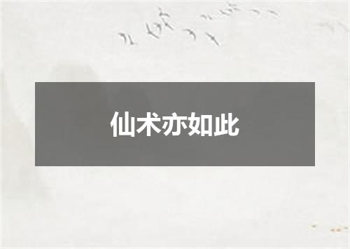 仙术亦如此