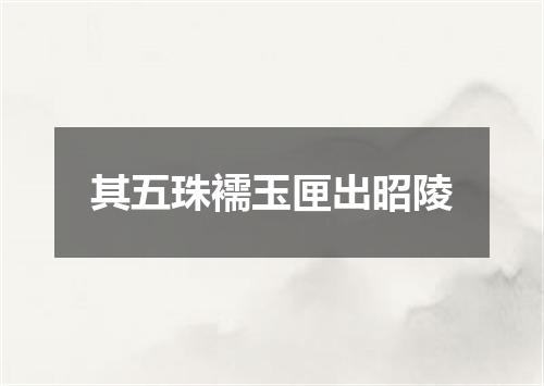 其五珠襦玉匣出昭陵