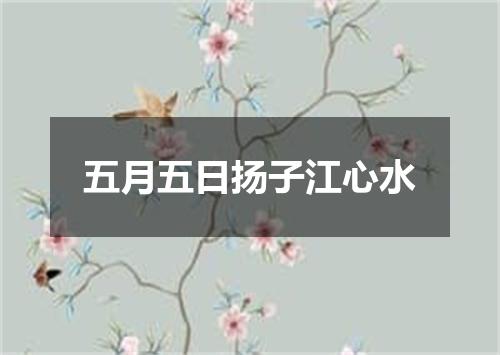 五月五日扬子江心水