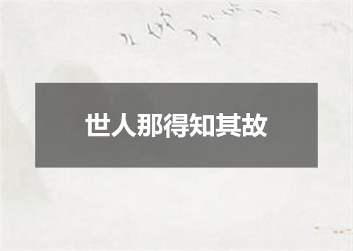 世人那得知其故