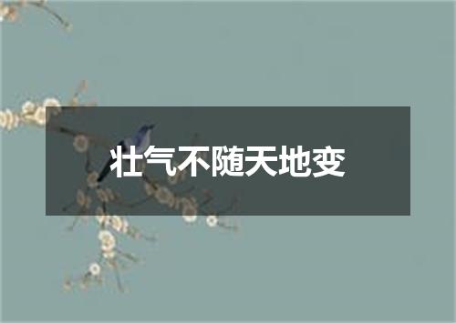 壮气不随天地变