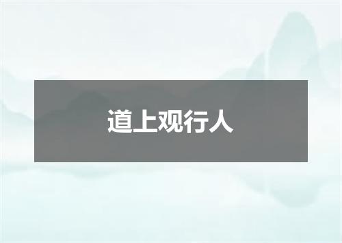 道上观行人