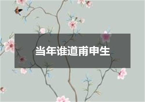 当年谁道甫申生