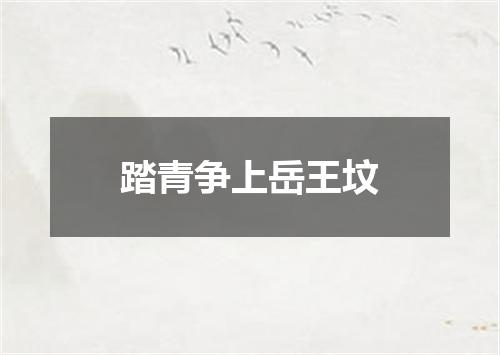 踏青争上岳王坟
