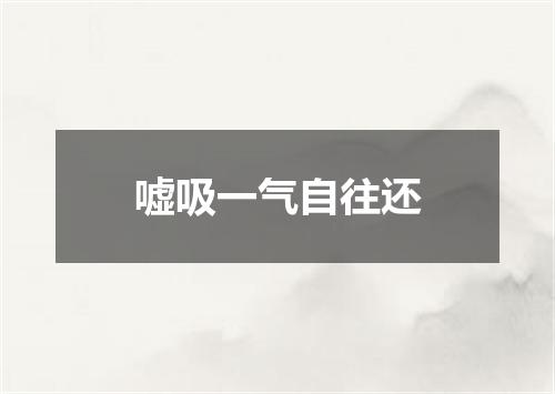 嘘吸一气自往还