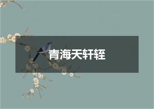 青海天轩轾