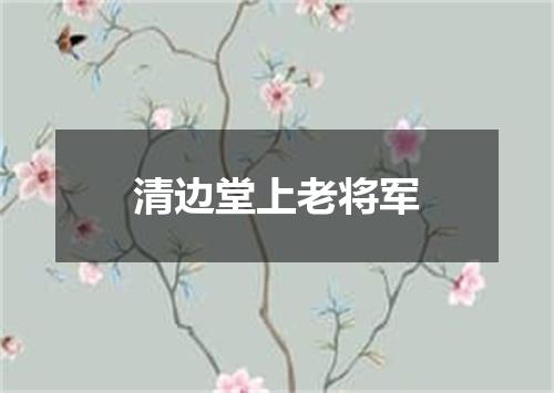 清边堂上老将军
